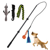 FelRelWel Flirt Pole for Dogs with interchangeable toys and a jumping dog playing